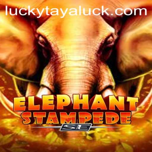 Exploring ElephantStampedeSE: A Thrilling Adventure With LUCKY TAYA